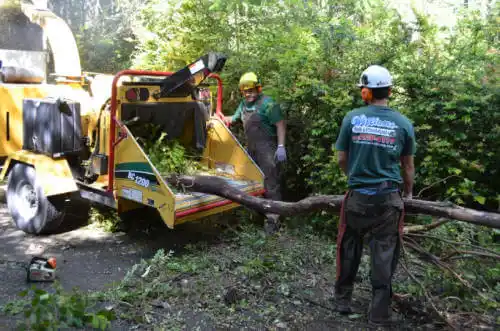 tree services Grayville